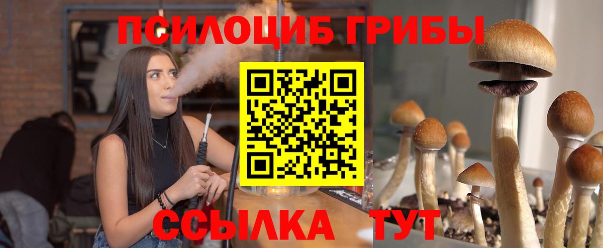 Галлюциногенные грибы GOLDEN TEACHER  Вход с VPN  Псилоцибиновые грибы ЛСД  Ржев 